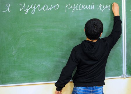 По просьбе Минобрнауки в этом году во вторых классах РФ прошли проверочные работы по русскому языку.