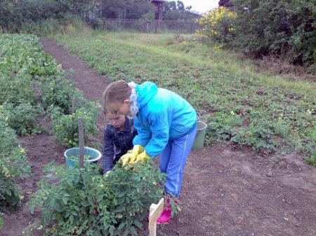 Васильева обеими руками поддержала закон о трудовом воспитании в школах