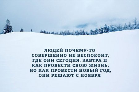 Строим планы на Новый Год 